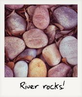River rocks!