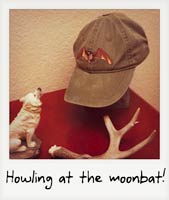 Howling at the moonbat!