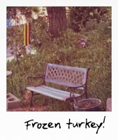 Frozen turkey!