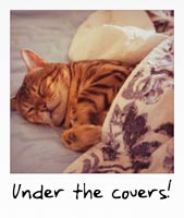Under the covers!