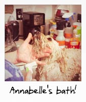 Annabelle's bath!