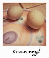 Green eggs!