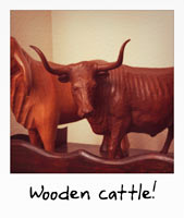 Wooden cattle!