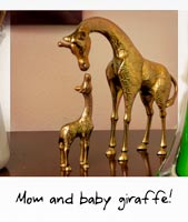 Mom and baby giraffe!