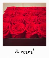 16 roses!