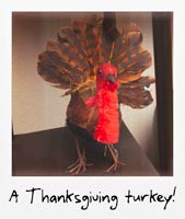 A Thankgiving turkey!