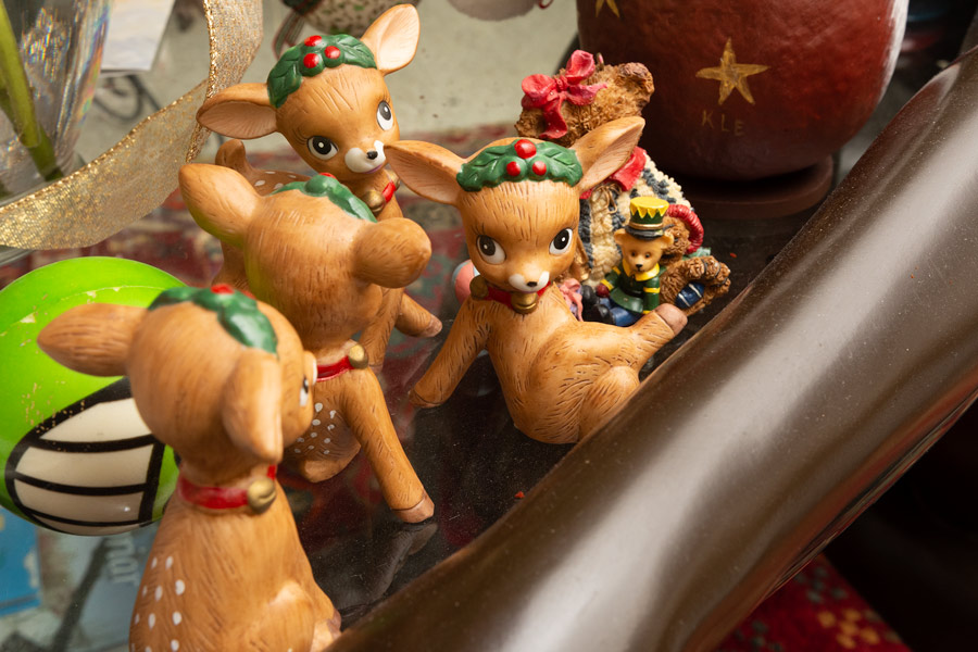 Reindeer photo