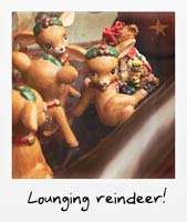 Lounging reindeer!