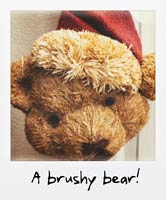 A brushy bear!