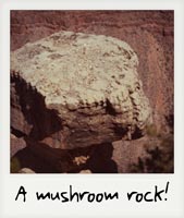 A mushroom rock!