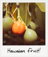 Hawaiian fruit!