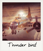 Thunder Bird!