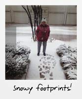 Snowy footprints!