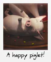 A happy piglet!