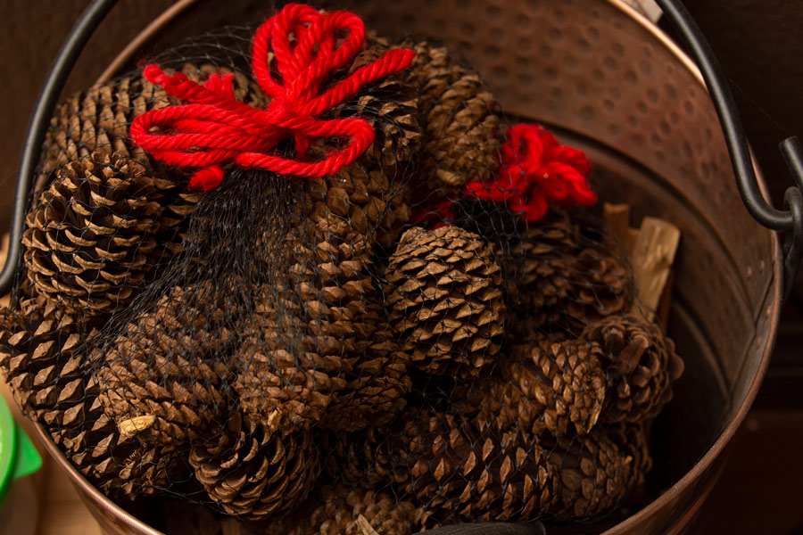 Pine cones photo