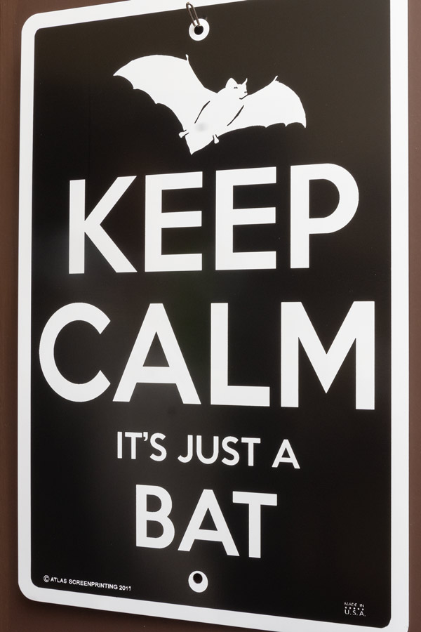 Keep Calm photo
