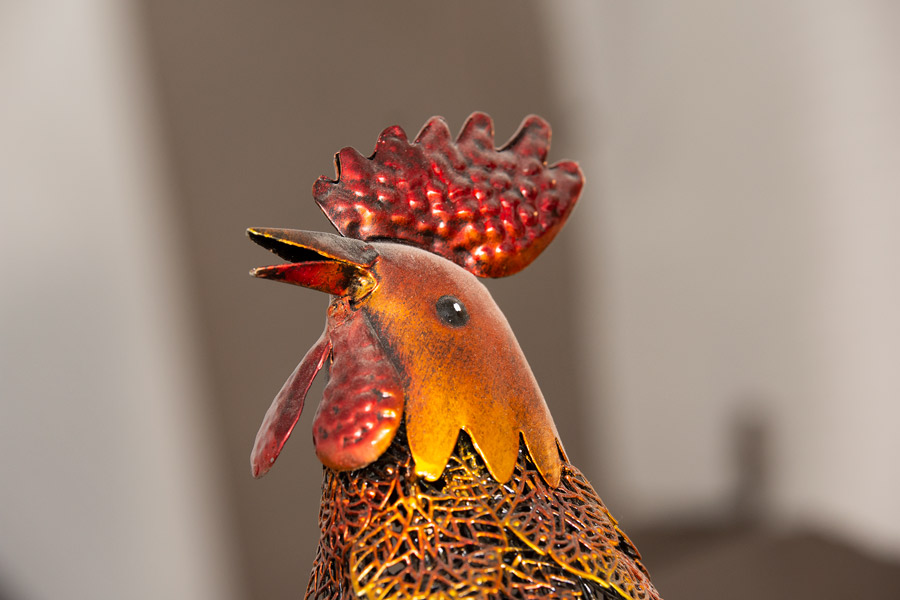 Rooster photo