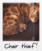 Chair thief!