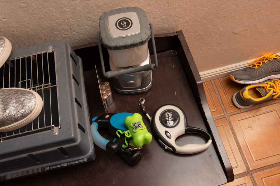 Pet station photo
