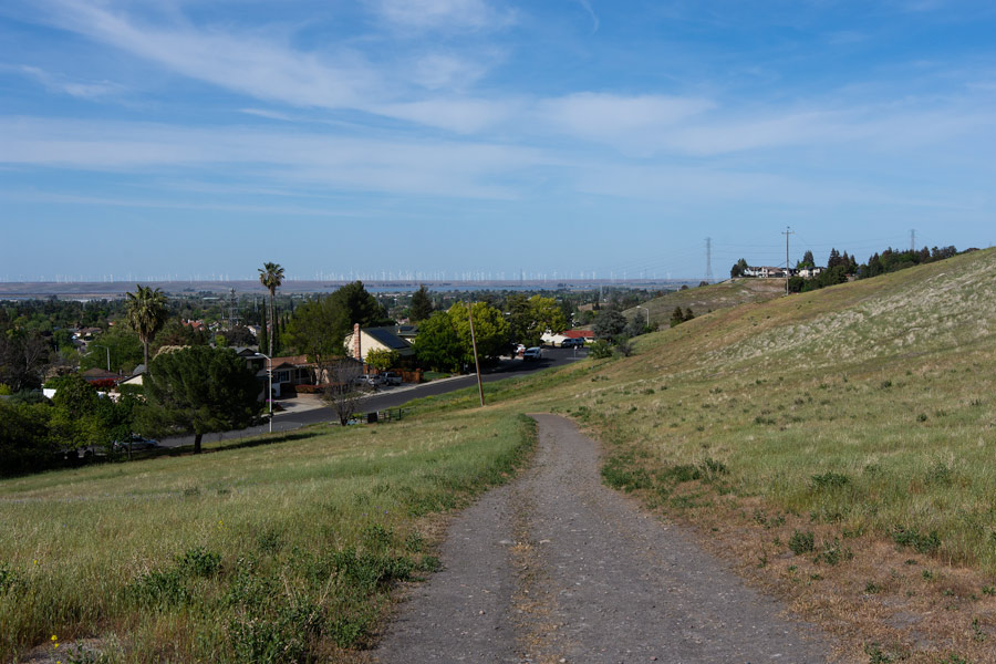 Reseda photo
