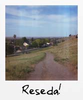 Reseda!