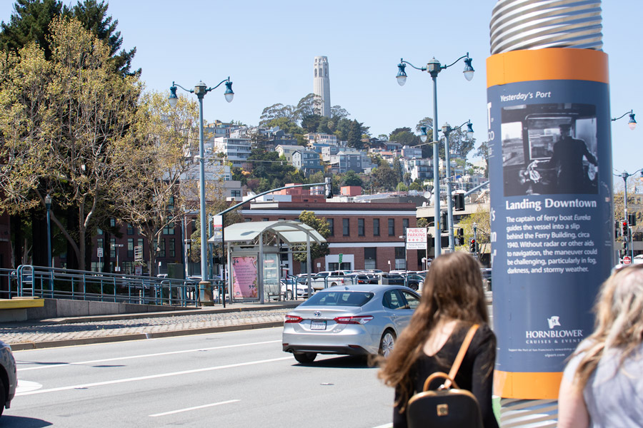 Coit Tower photo