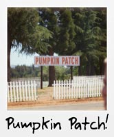 Pumpkin patch!