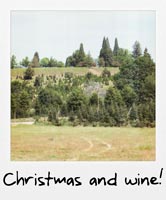 Christmas and wine!