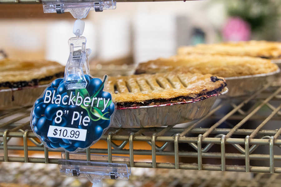 Blackberry pie photo