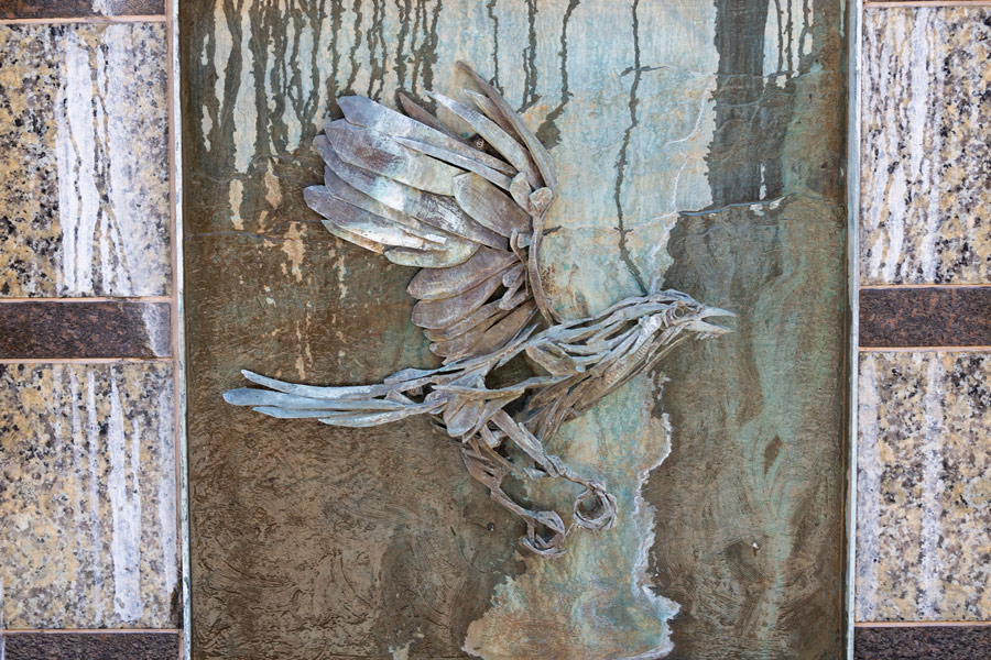 Reno crow photo