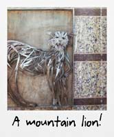 A mountain lion!