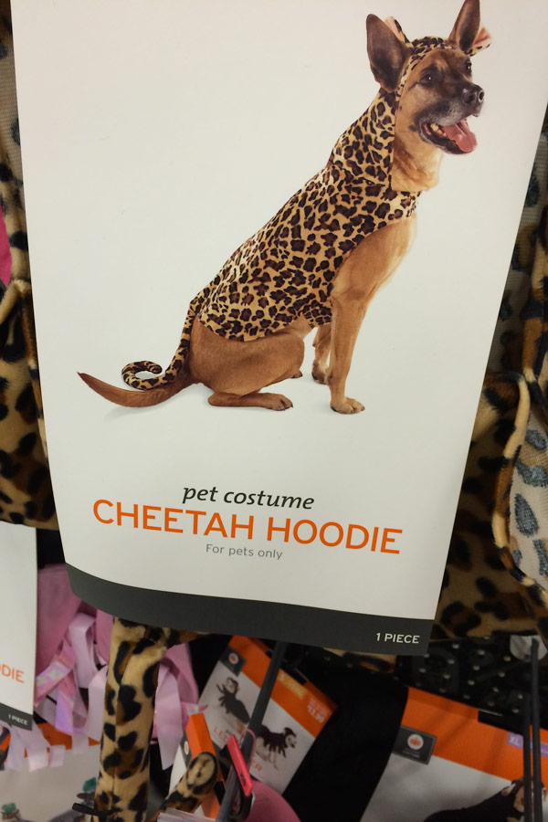 Cheetah hoodie photo
