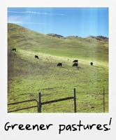 Greener pastures!