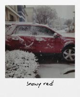 Snowy red!