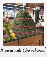 A broccoli Christmas!