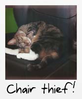 Chair thief!