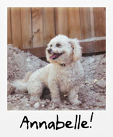 Annabelle!