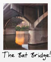 The Bat Bridge!