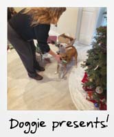 Doggie presents!