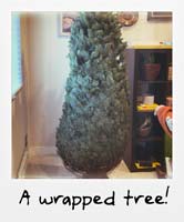 A wrapped tree!