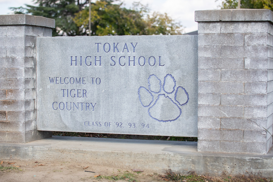 Tiger Country photo