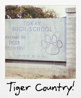 Tiger Country!