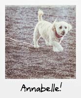 Annabelle!