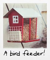 A bird feeder!