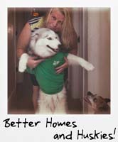 Better Homes and Huskies!