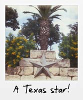 A Texas star!