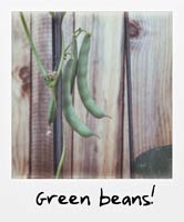 Green beans!