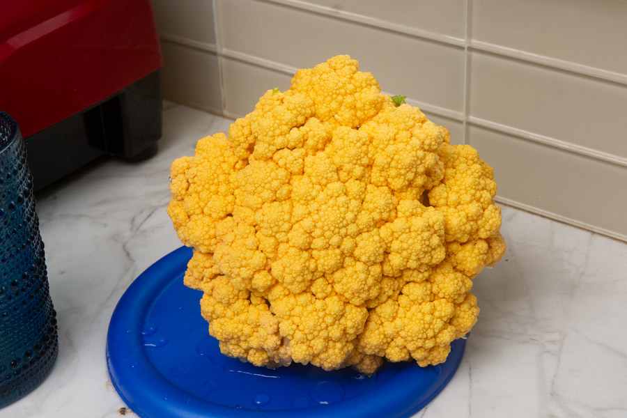 Cauliflower photo
