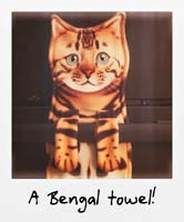 A Bengal towel!