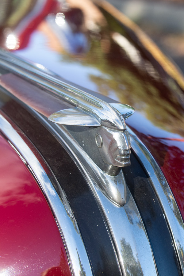 Hood ornament photo